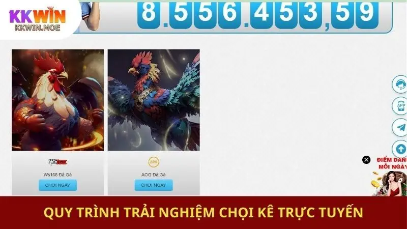 Quy trình trải nghiệm chọi kê trực tuyến