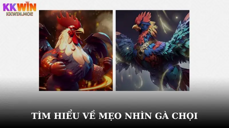 Tìm hiểu tổng quan về mẹo nhìn gà chọi là gì