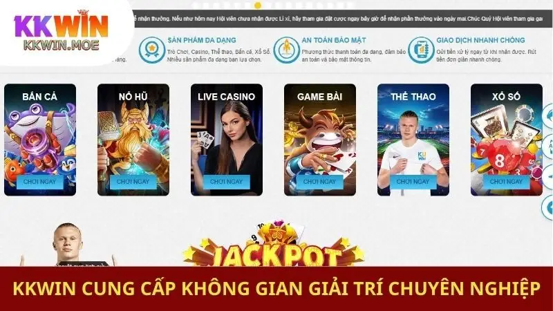 Sân chơi cung cấp không gian giải trí chuyên nghiệp